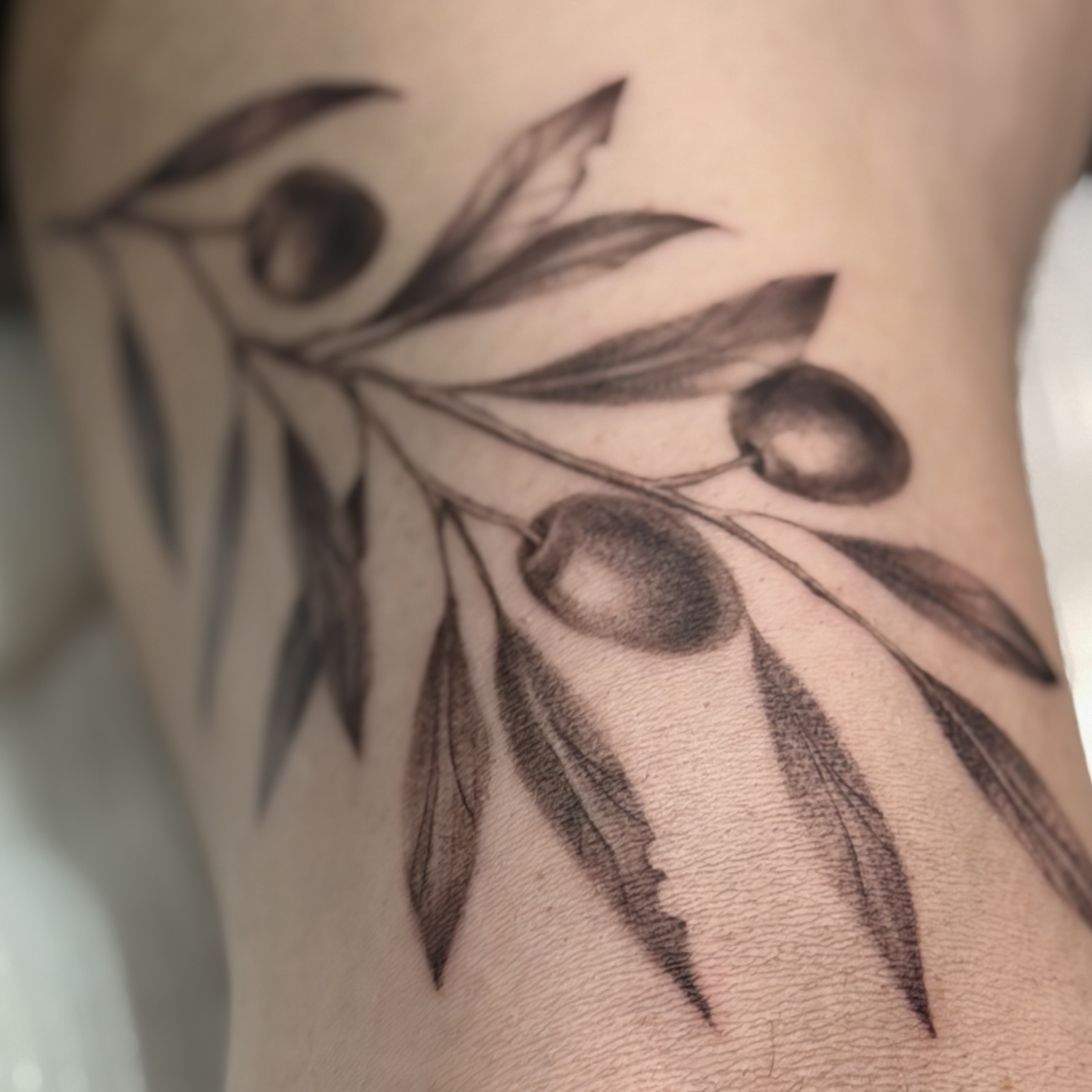 Fine-line olive branch tattoo