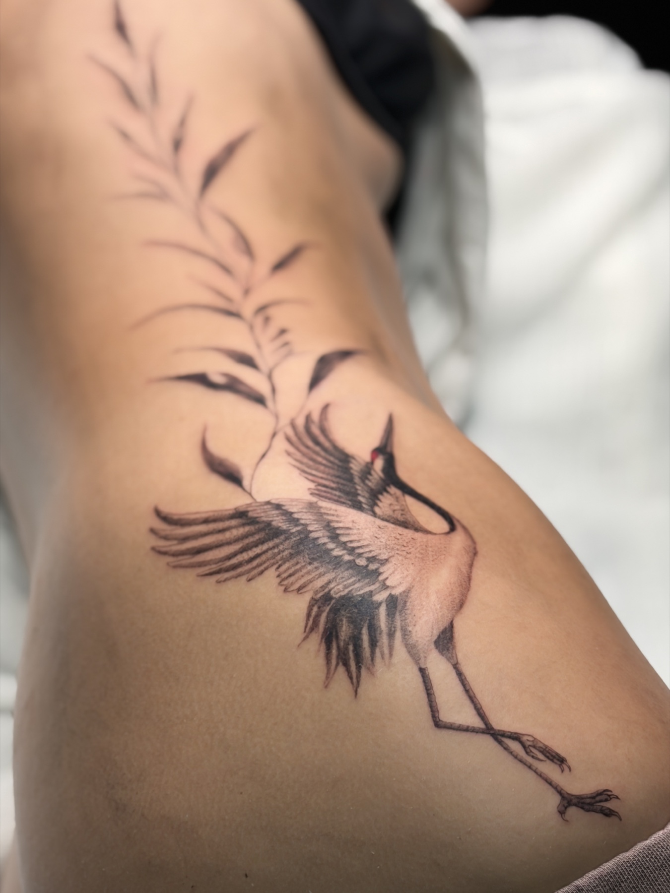 Fine-line bird and botanical tattoo by Natalie